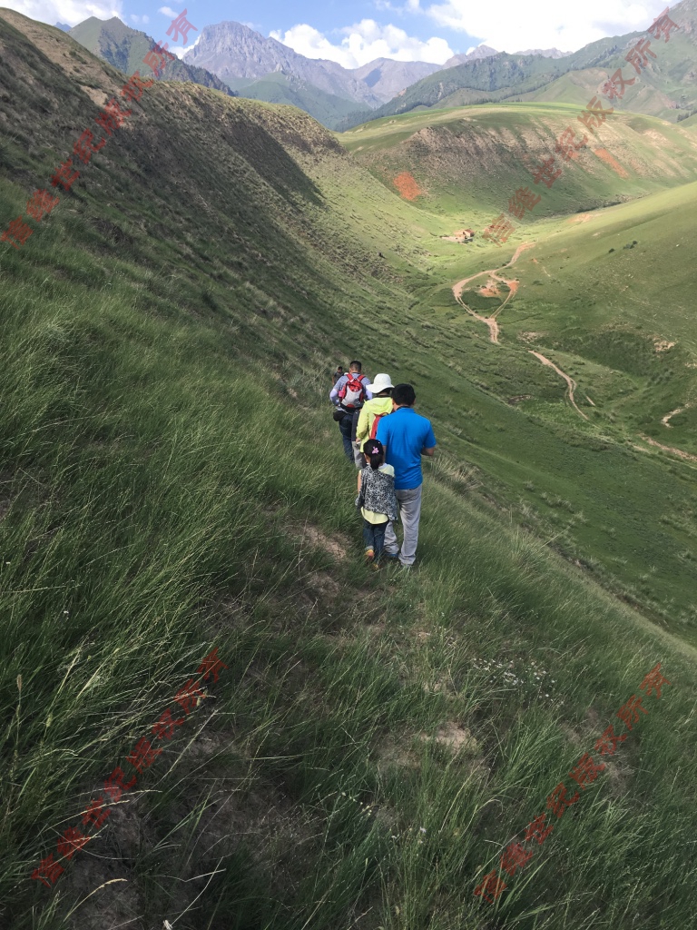 西北全景青海甘肅旅游